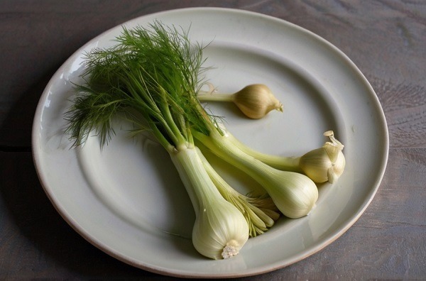 Fennel Vegetables in Season April