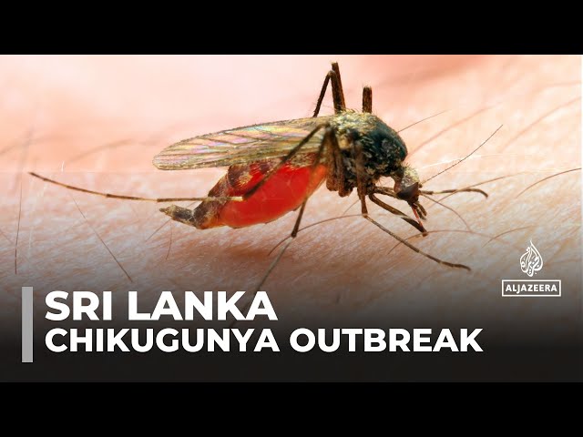 Chikungunya